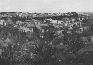 Roma dal Gianicolo