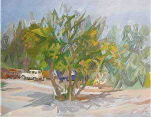 Melograno    1982    olio 90x70