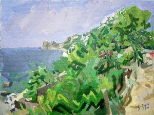 Marina del Cantone