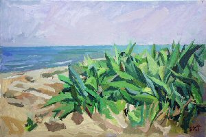 Agave sulla spiaggia di Torvaianica