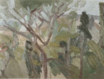 Paesaggio