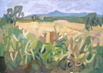 Campagna di Ostuni