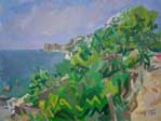 Vegetazione a Marina del Cantone