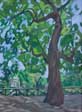 Villa Borghese