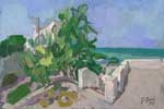 Discesa al mare - Lavinio